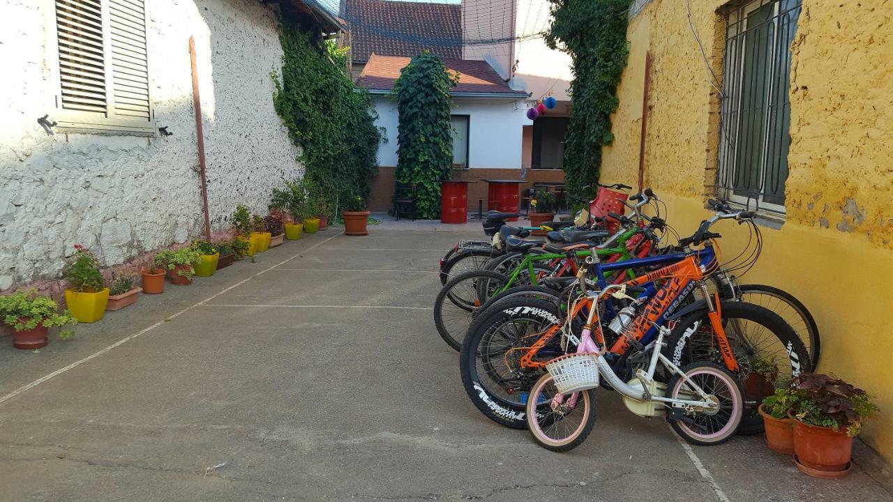 Home Hostel Shkodër Dış mekan fotoğraf