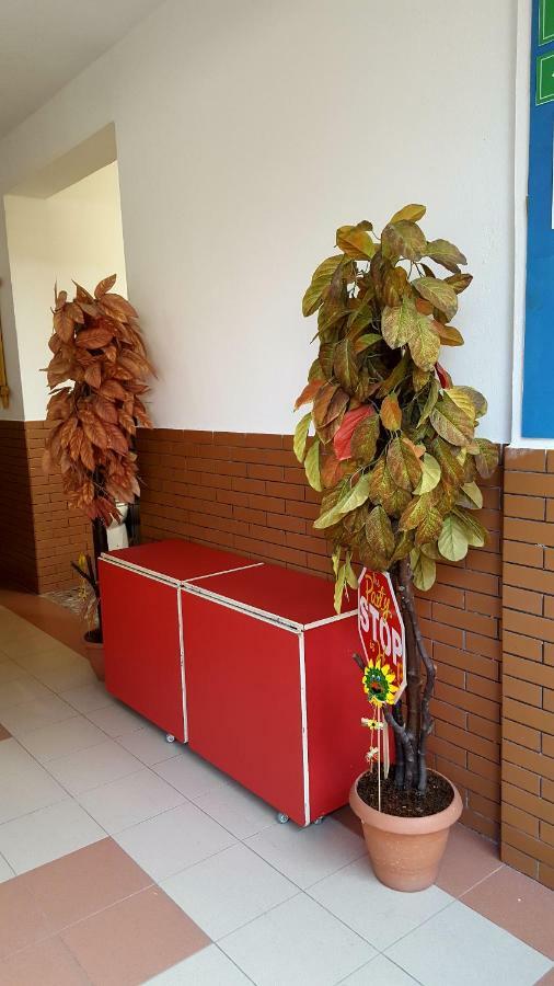 Home Hostel Shkodër Dış mekan fotoğraf