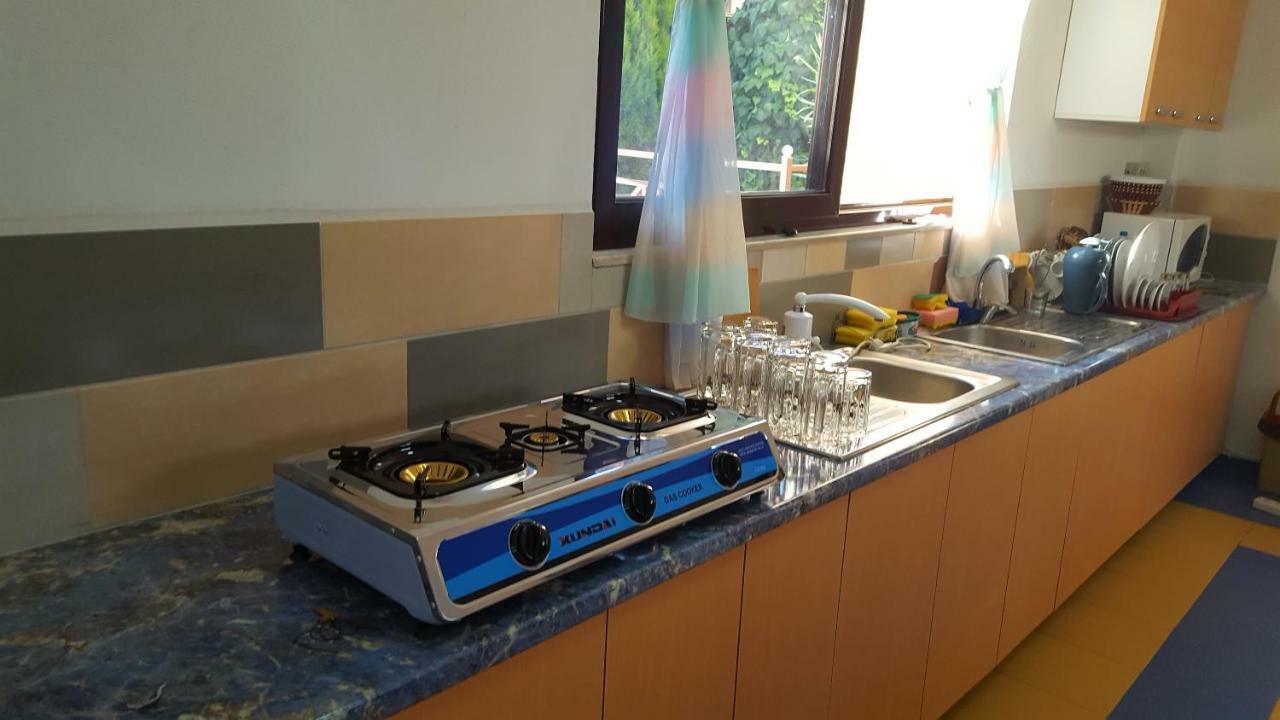 Home Hostel Shkodër Dış mekan fotoğraf